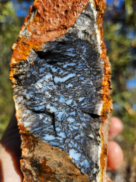 Dendritic Opal  rough.  DOR256