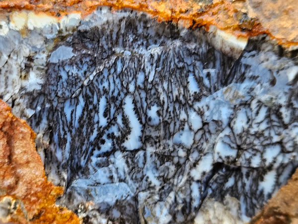 Dendritic Opal  rough.  DOR256