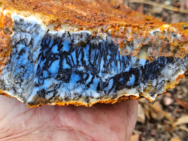 Dendritic Opal  rough.  DOR256