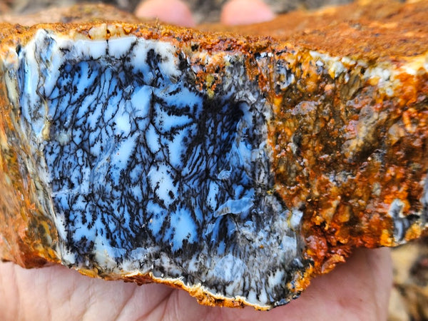 Dendritic Opal  rough.  DOR256