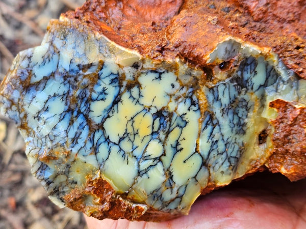 Dendritic Opal  rough.  DOR257