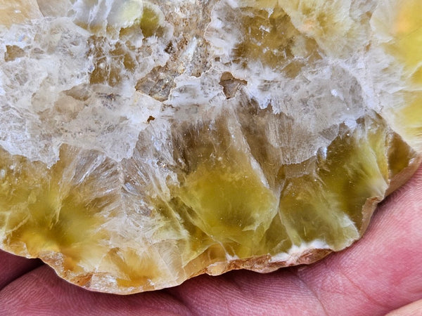 Polished Prehnite PR125