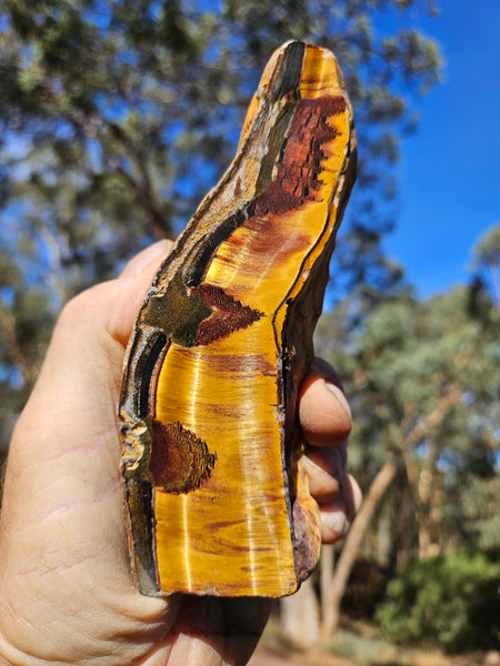 Polished Tiger Eye TE438