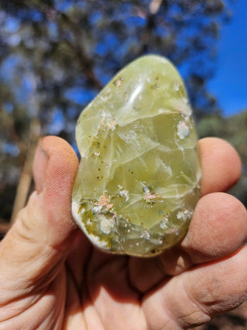 Tumble Polished Prehnite PRT111