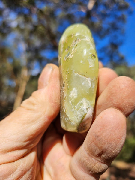 Tumble Polished Prehnite PRT111