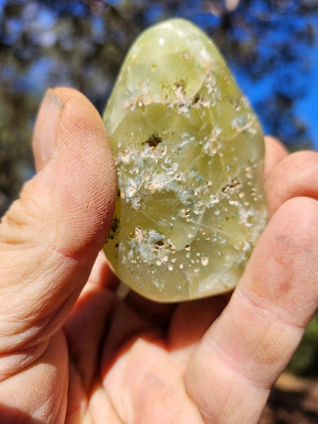 Tumble Polished Prehnite PRT111