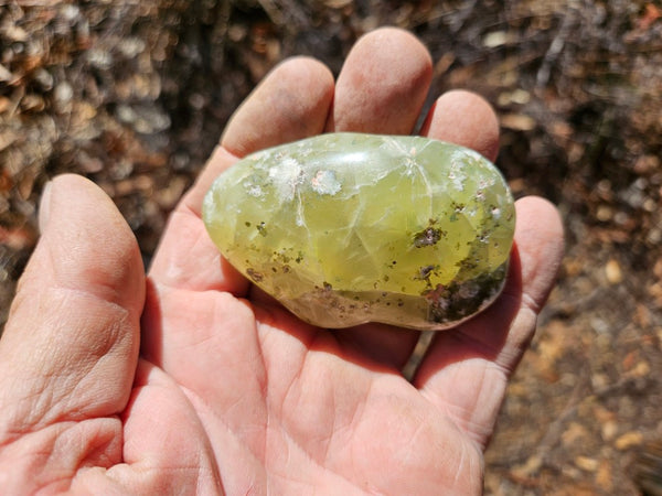 Tumble Polished Prehnite PRT111