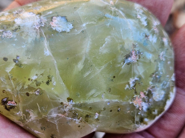 Tumble Polished Prehnite PRT111