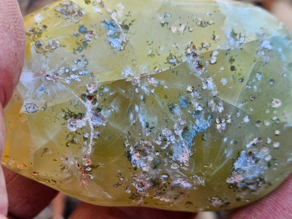 Tumble Polished Prehnite PRT111