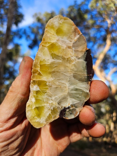 Polished Prehnite slab PR129