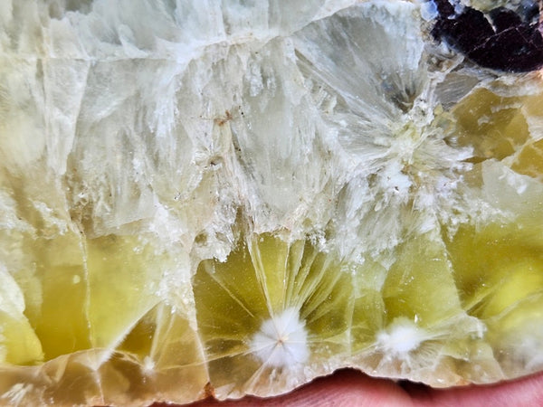 Polished Prehnite slab PR129