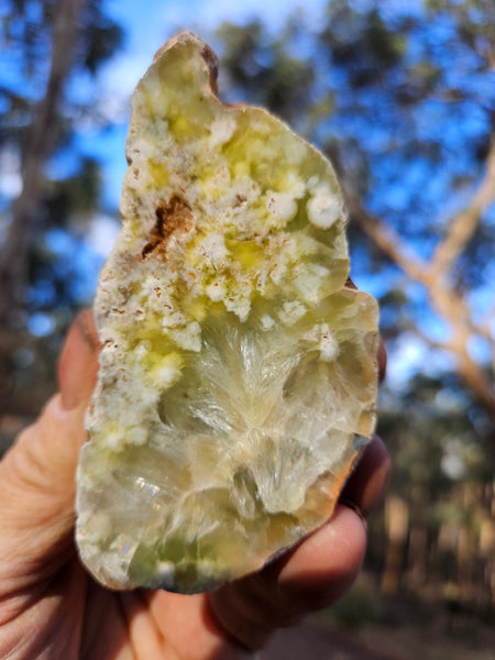 Polished Prehnite PR127