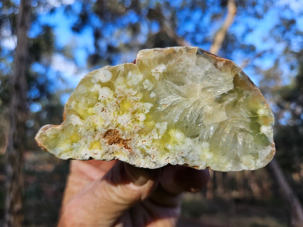 Polished Prehnite PR127