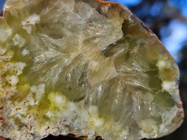 Polished Prehnite PR127