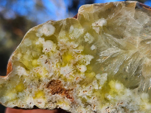 Polished Prehnite PR127