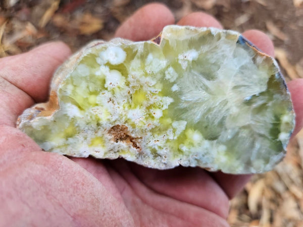 Polished Prehnite PR127