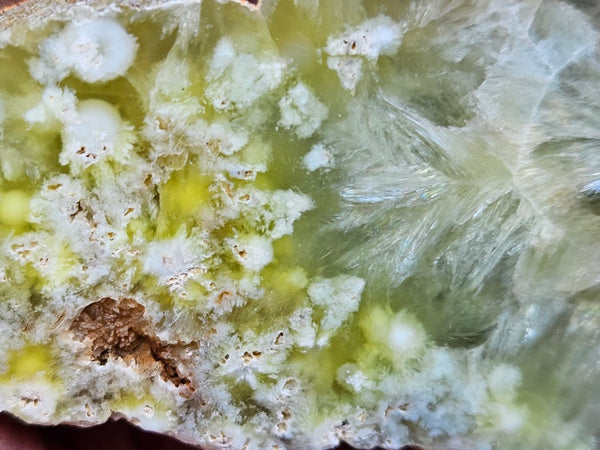 Polished Prehnite PR127