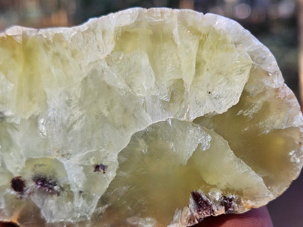 Polished Prehnite PR128