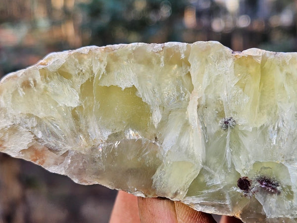 Polished Prehnite PR128