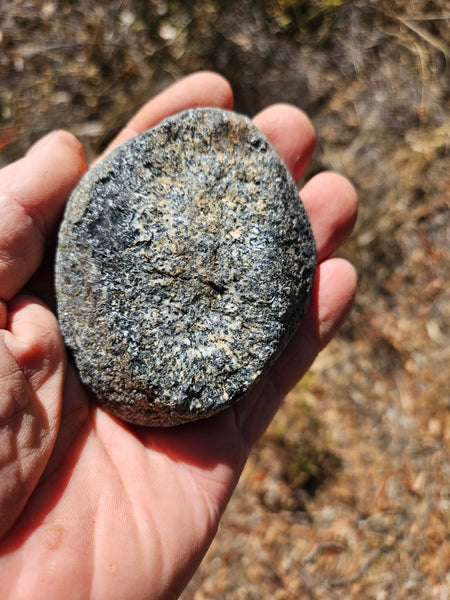 Polished Orbicular Granite. OG205