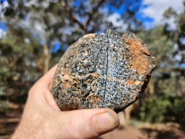 Pair of polished Orbicular Granite. OG204