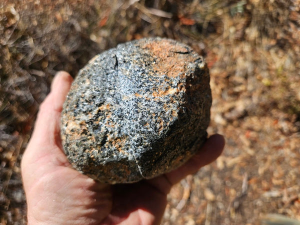 Pair of polished Orbicular Granite. OG204