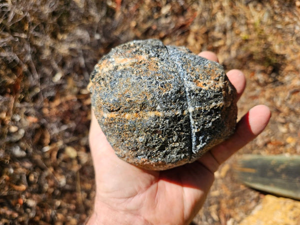 Pair of polished Orbicular Granite. OG204