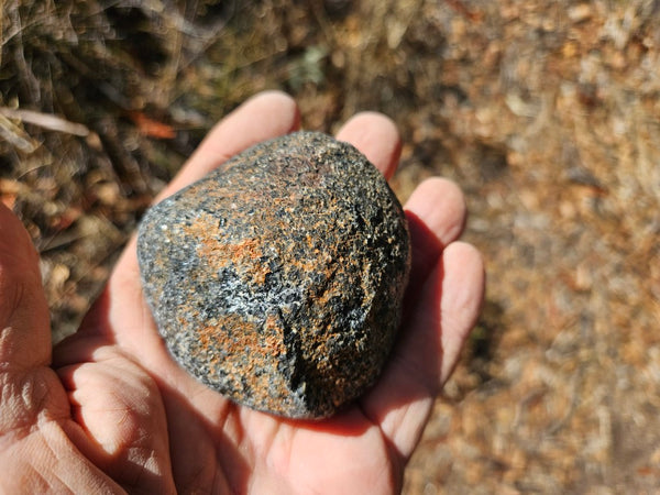 Polished Orbicular Granite. OG207