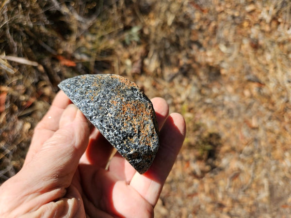 Polished Orbicular Granite. OG207