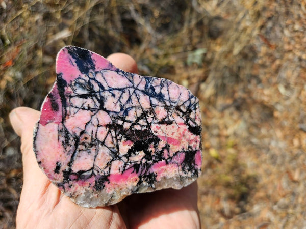 Polished Rhodonite  RH284