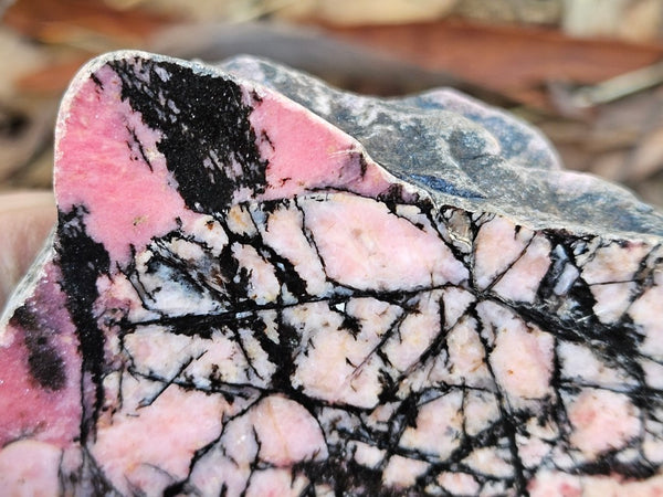 Polished Rhodonite  RH284