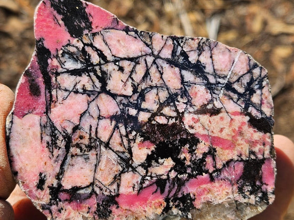 Polished Rhodonite  RH284