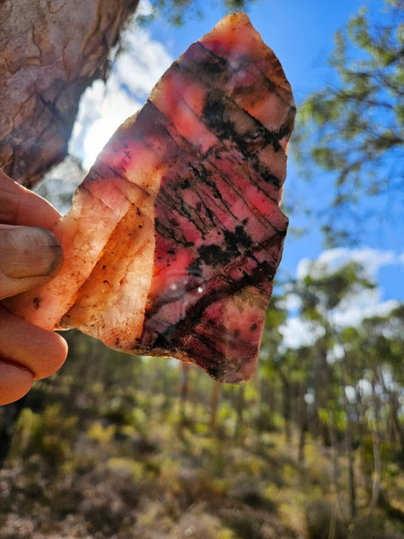 Polished Rhodonite slab RH280