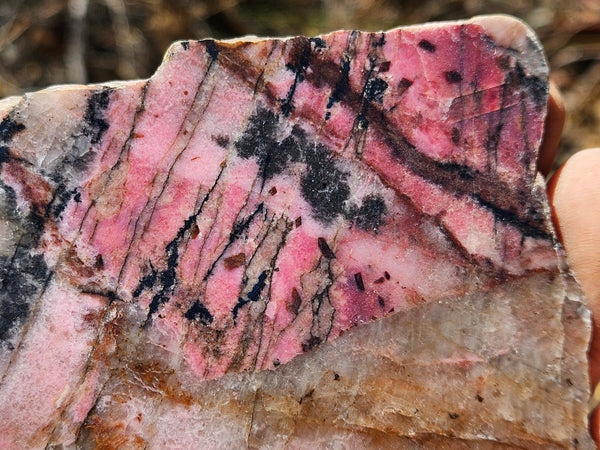 Polished Rhodonite slab RH280