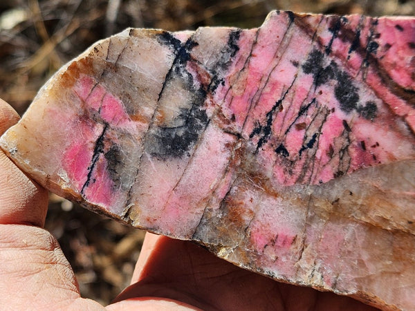 Polished Rhodonite slab RH280