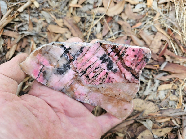 Polished Rhodonite slab RH280