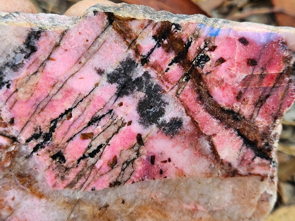 Polished Rhodonite slab RH280