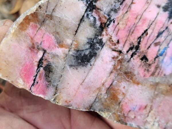 Polished Rhodonite slab RH280