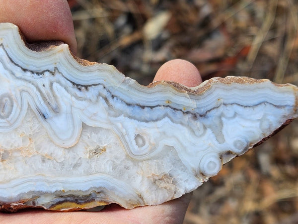 Polished Kumarina Agate slab KA147