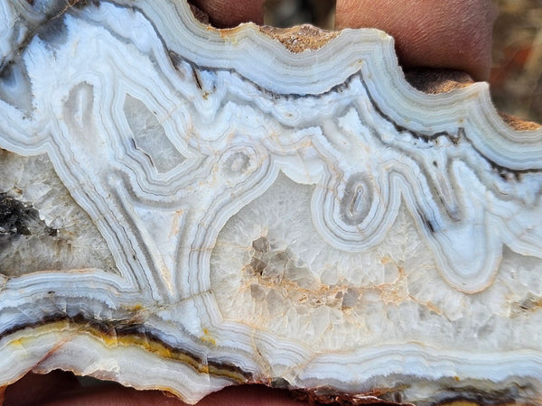 Polished Kumarina Agate slab KA147