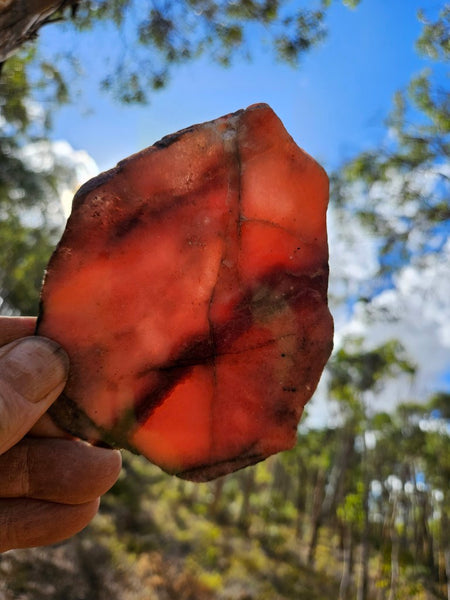 Polished Rhodonite slab RH282