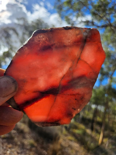 Polished Rhodonite slab RH282