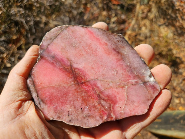 Polished Rhodonite slab RH282