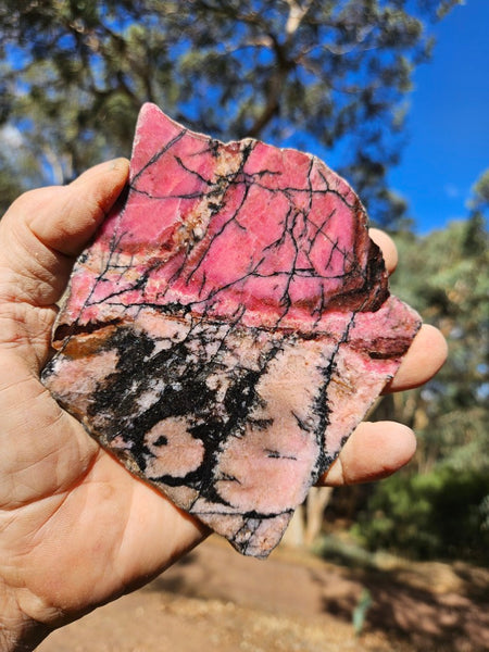 Polished Rhodonite slab RH283