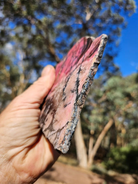 Polished Rhodonite slab RH283