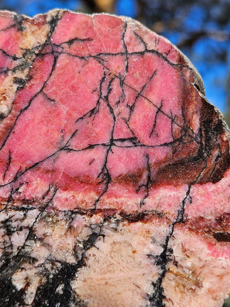 Polished Rhodonite slab RH283