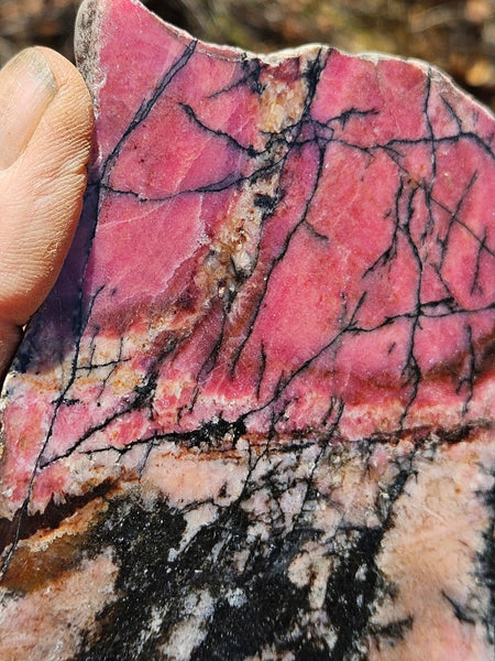 Polished Rhodonite slab RH283