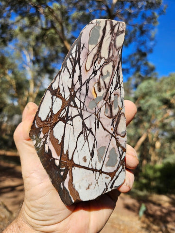 Polished Outback Jasper  OJ190