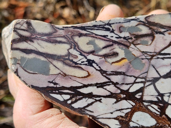 Polished Outback Jasper  OJ190