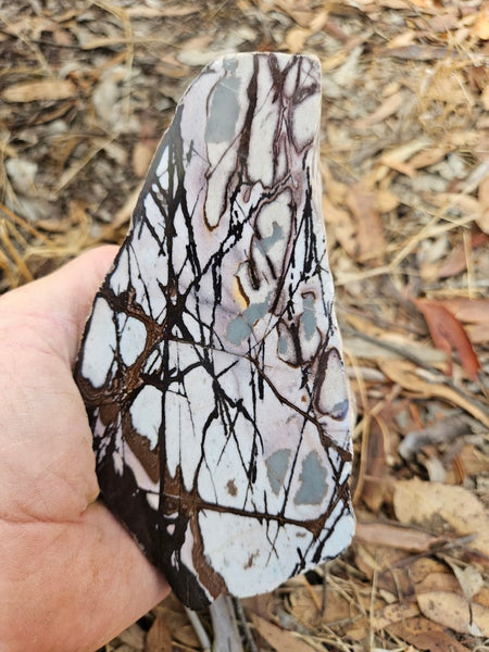 Polished Outback Jasper  OJ190